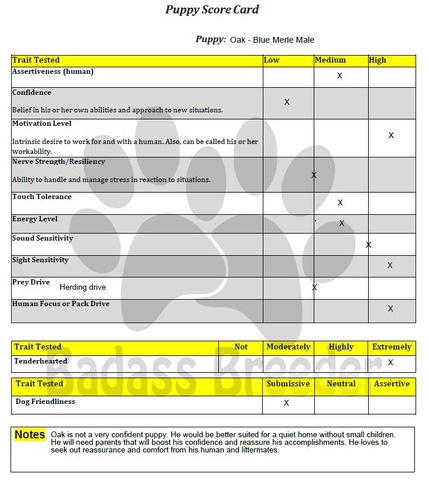 Oak Score Card JPEG