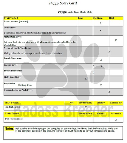 Ash Score Card JPEG