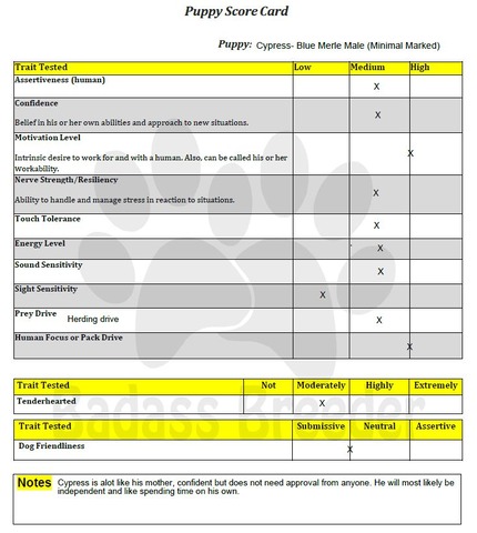 Cypress Score Card JPEG