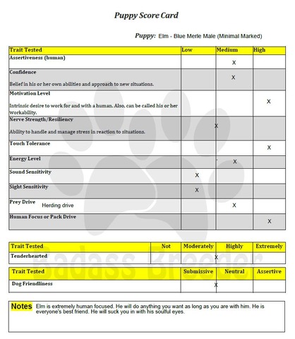 Elm Score Card JPEG