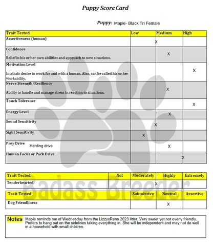 Maple Score Card JPEG