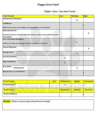 Willow Score Card JPEG