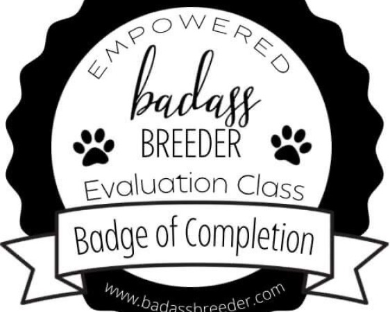 BAB Testing Badge